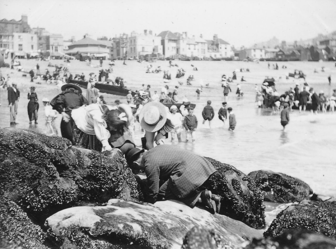 File:197-219.jpg