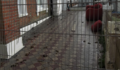 Thumbnail for version as of 21:52, 15 July 2023