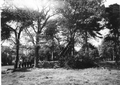 Thumbnail for version as of 23:34, 9 August 2020