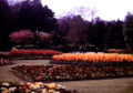 Thumbnail for version as of 14:32, 8 May 2026