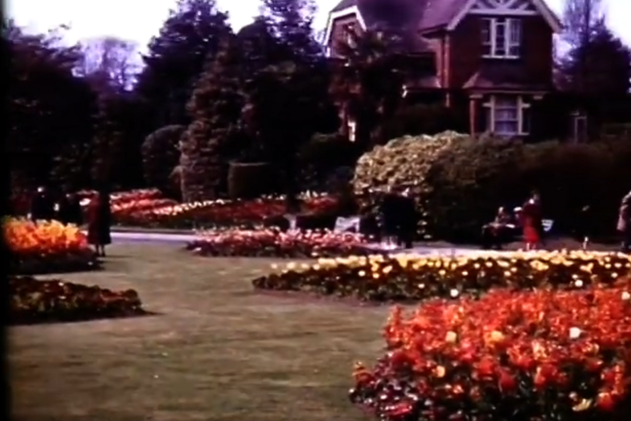 File:Alexandra Park flower display.png