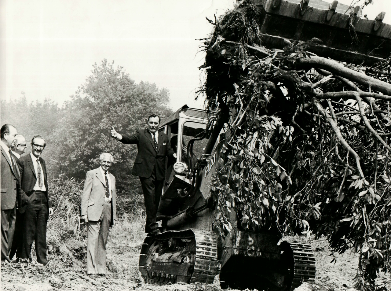 File:CastlehamClearance.png