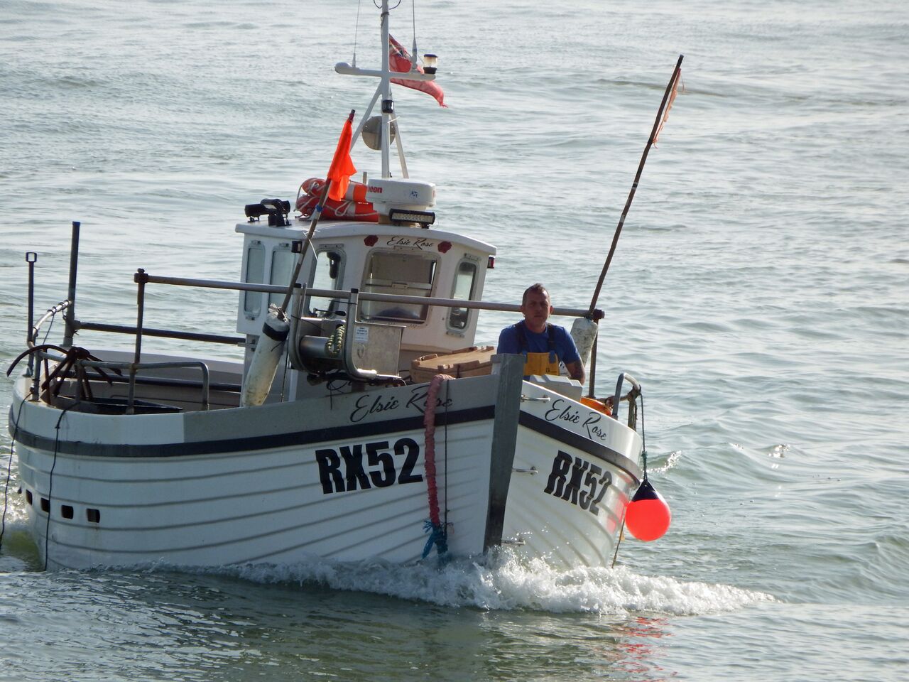 File:Elsie Rose 2017.jpg