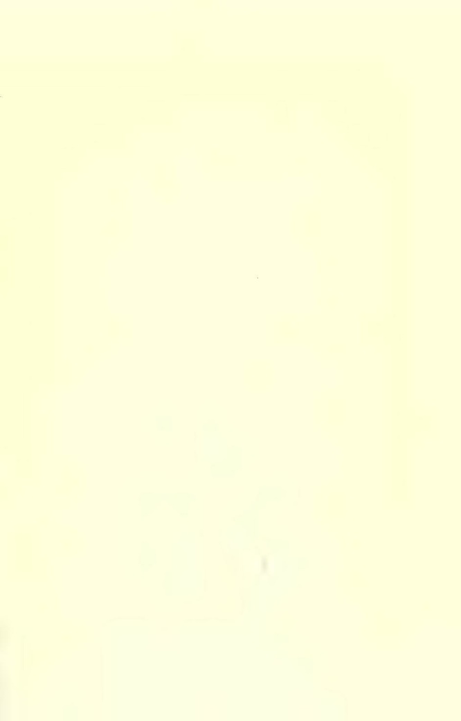 File:History of Hastings Castle Vol 1.pdf