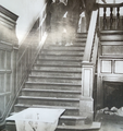 Thumbnail for version as of 13:50, 17 March 2020