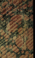 Thumbnail for version as of 14:17, 7 May 2025