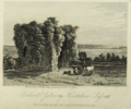 Thumbnail for version as of 13:23, 7 May 2025